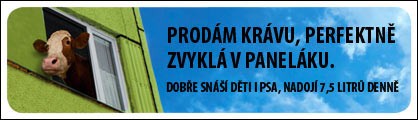 Prodám krávu